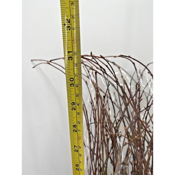 Natural Dried Flowers Long Stem Twigs Bouquet Roses Crafts Weddings Home Decor - Picture 7 of 12